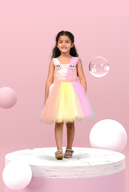 Minni Mouse Multicolor Tulle Dress