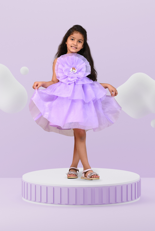Princess Embellished Organza Dress